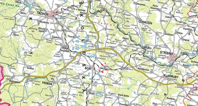 Prodej pole, Bor, 44369 m2