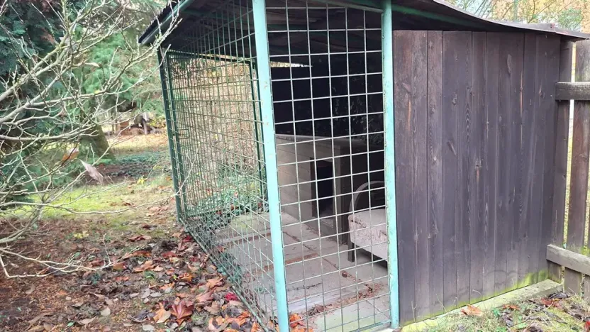 Prodej vily, Plzeň, Jesenická, 200 m2