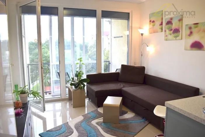 Pronájem bytu 1+kk, České Budějovice - České Budějovice 2, Fr. Ondříčka, 29 m2