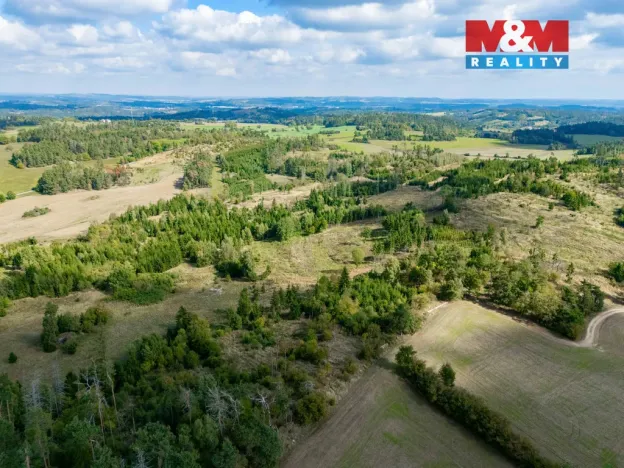 Prodej lesa, Horní Heřmanice, 31116 m2