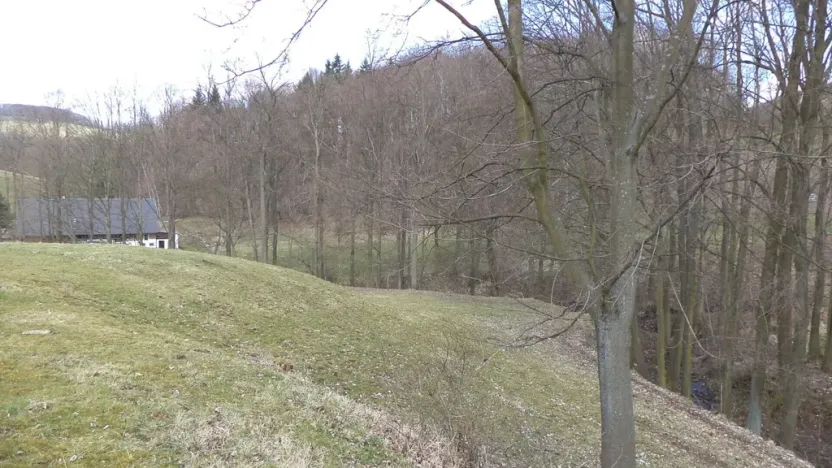 Prodej pozemku, Heřmanov - Fojtovice, 4633 m2