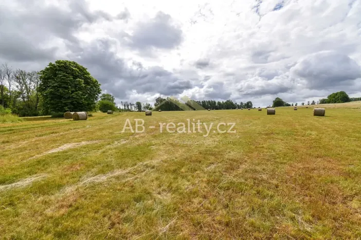 Prodej louky, Úštěk, 131865 m2