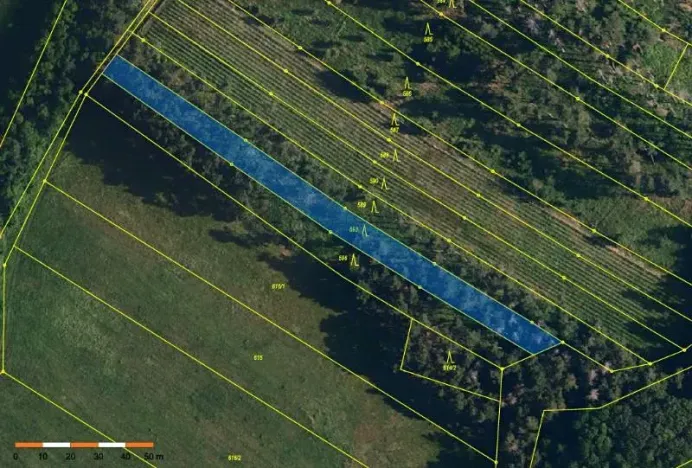 Prodej lesa, Dolní Vilémovice, 1844 m2