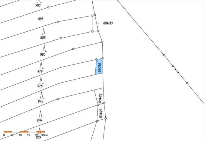 Prodej lesa, Dolní Cerekev, 11509 m2