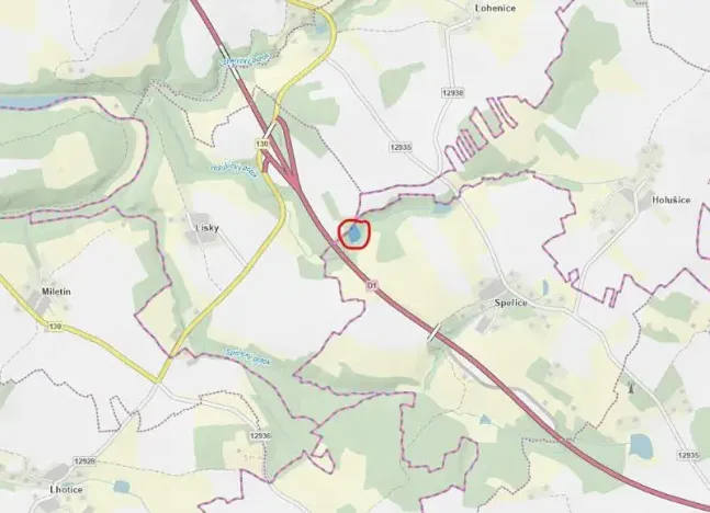 Prodej lesa, Jiřice, 4435 m2