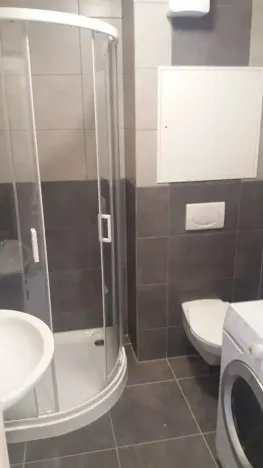 Pronájem bytu 1+kk, Brno, Poděbradova, 28 m2