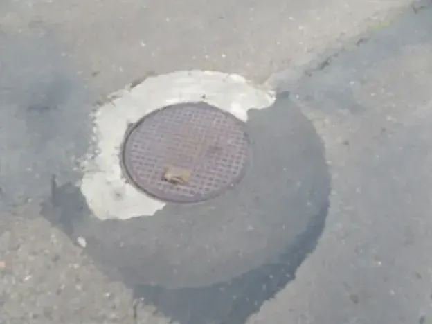 Dražba zahrady, Dobruška, 294 m2