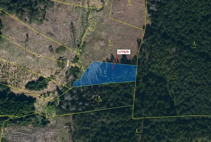 Dražba lesa, Žirovnice, 1388 m2