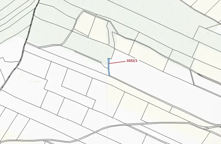 Dražba pole, Olešnice, 318 m2