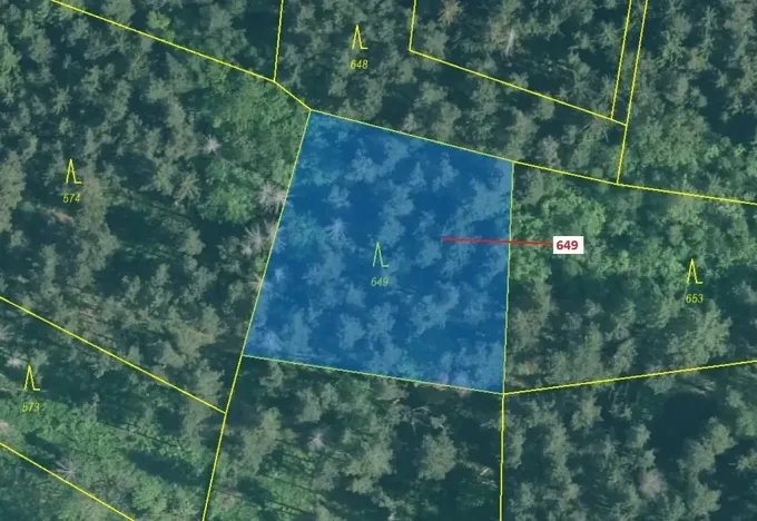 Dražba lesa, Kuřimany, 1722 m2