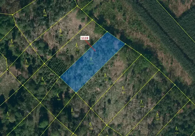 Dražba lesa, Náměšť nad Oslavou, 1976 m2