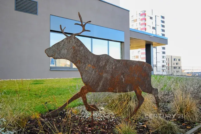 Prodej bytu 1+kk, Praha - Hloubětín, Laponská, 30 m2