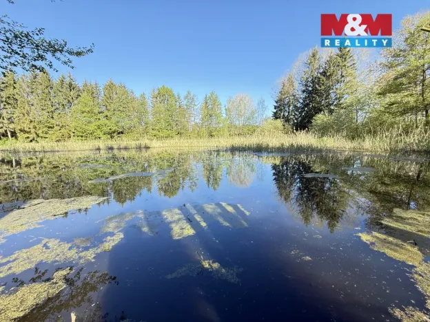 Prodej rybníku, Rychnov nad Kněžnou - Lipovka, 5965 m2