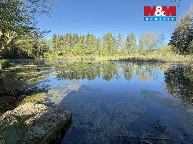 Prodej rybníku, Rychnov nad Kněžnou - Lipovka, 5965 m2