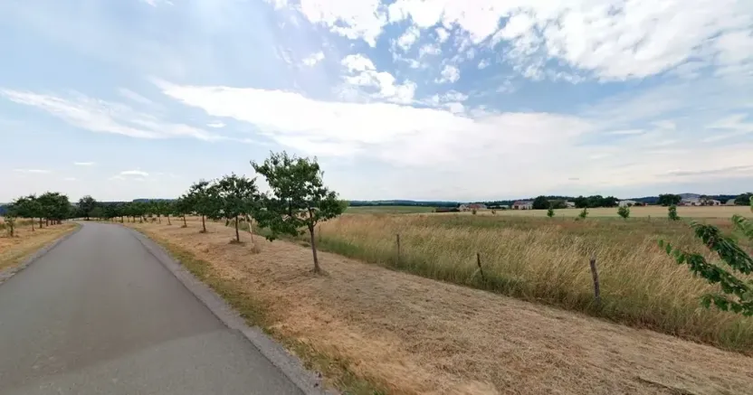 Prodej pozemku, Maršov, 31902 m2