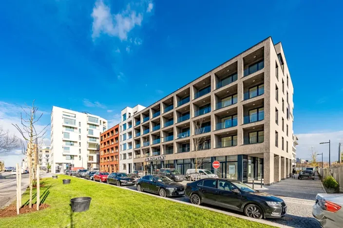 Pronájem bytu 1+kk, Praha - Žižkov, Tetauerova, 33 m2