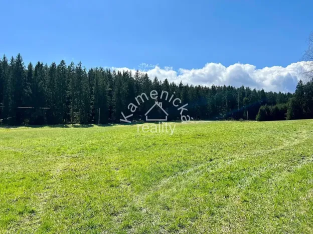 Prodej pozemku pro bydlení, Černá v Pošumaví, 3027 m2