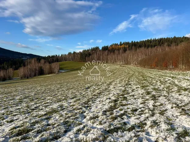 Prodej pozemku pro bydlení, Malšín, 113244 m2