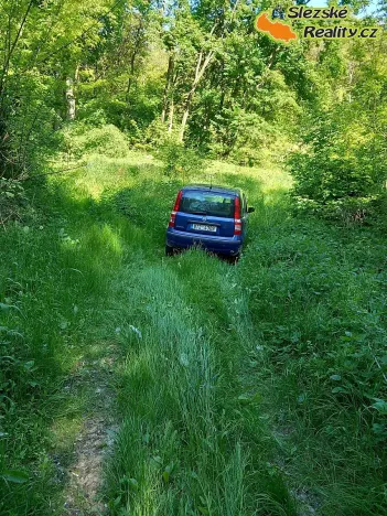 Prodej lesa, Diváky, 6415 m2