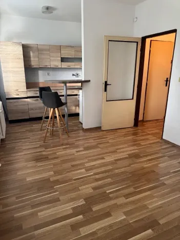 Prodej bytu 1+kk, Ostrava, Heleny Salichové, 27 m2