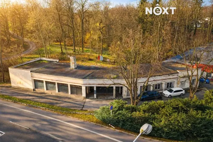 Prodej obchodního prostoru, Orlová, Petra Cingra, 300 m2