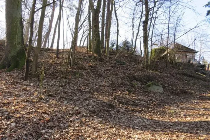 Prodej lesa, Čerčany, 394 m2