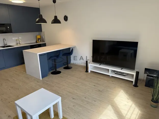 Pronájem bytu 1+kk, České Budějovice, Chelčického, 38 m2