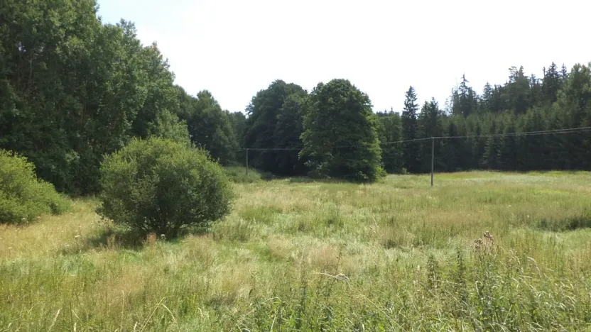 Prodej pozemku, Chodský Újezd - Nahý Újezdec, 13137 m2