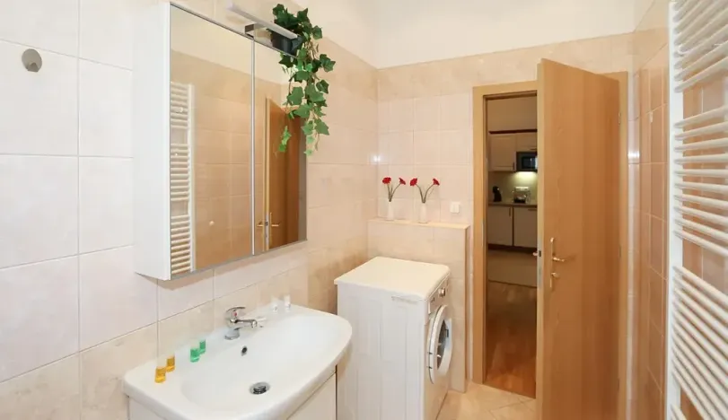 Pronájem bytu 2+kk, Praha - Vinohrady, Na Kozačce, 48 m2