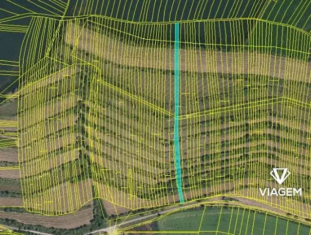 Prodej pole, Morkůvky, 2859 m2