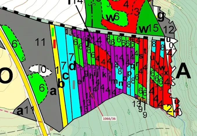 Dražba lesa, Stehlovice, 1983 m2