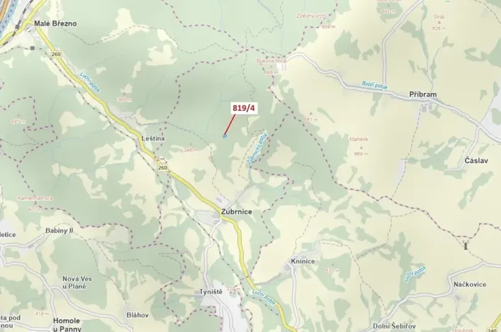 Dražba lesa, Zubrnice, 2875 m2