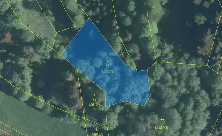 Dražba lesa, Hovězí, 1230 m2