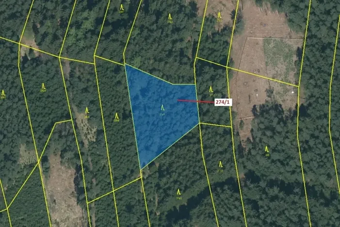 Dražba lesa, Psárov, 2949 m2