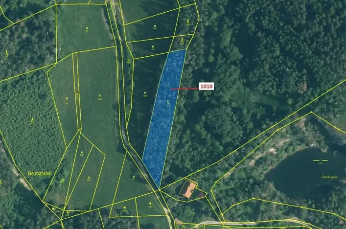 Dražba lesa, Rabí, 3054 m2