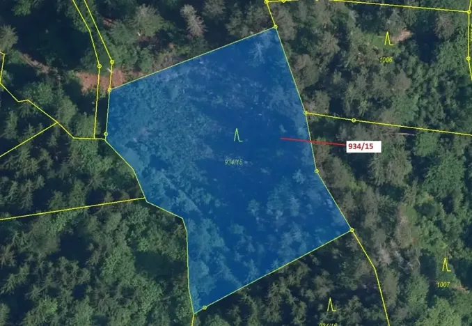 Dražba lesa, Jílové u Držkova, 3821 m2