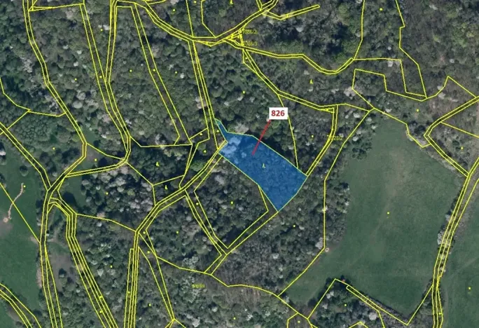 Dražba lesa, Zubrnice, 4610 m2