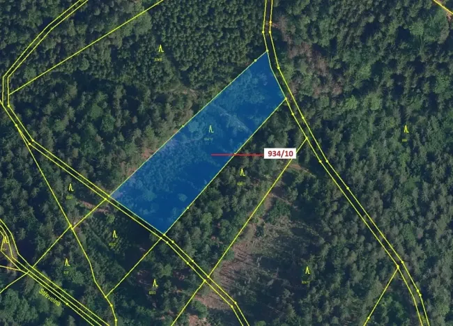 Dražba lesa, Jílové u Držkova, 4305 m2