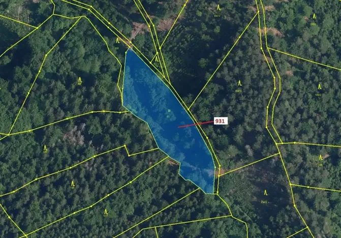 Dražba louky, Jílové u Držkova, 4019 m2