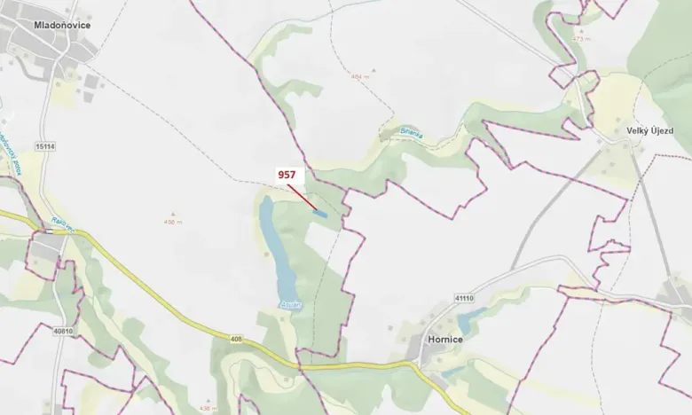 Dražba lesa, Mladoňovice, 2344 m2