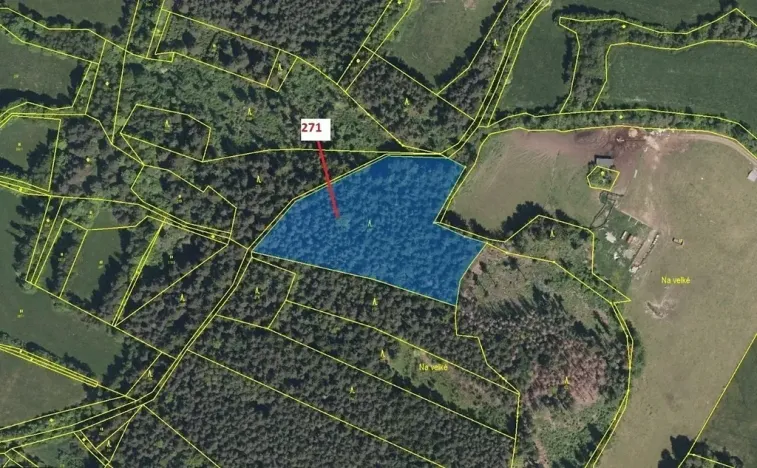 Dražba lesa, Zálezly, 8937 m2