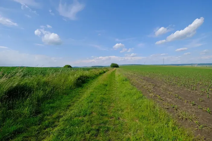 Prodej zahrady, Uherský Brod, 2032 m2