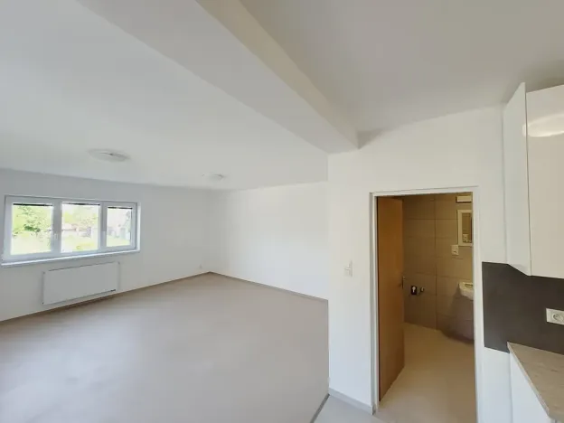 Pronájem bytu 1+kk, Staré Město, U Sklépka, 40 m2