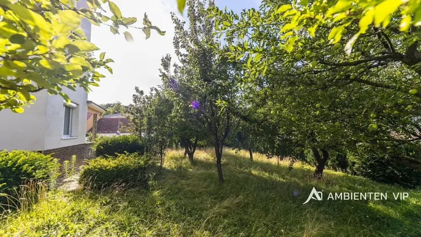 Prodej rodinného domu, Brno, 393 m2