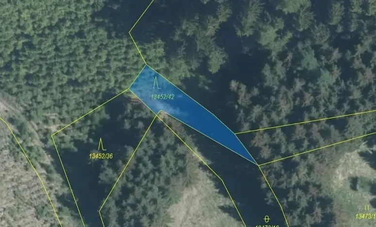 Dražba lesa, Hovězí, 335 m2