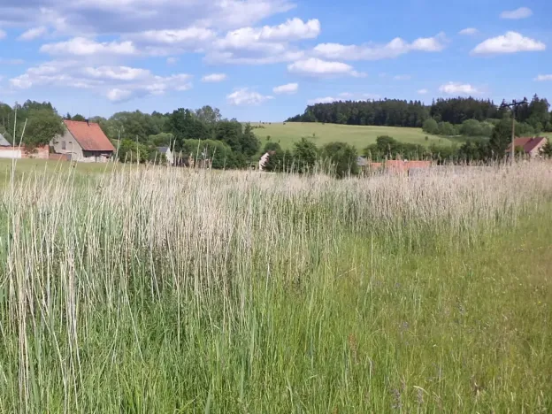 Dražba pozemku, Meziměstí, 2273 m2