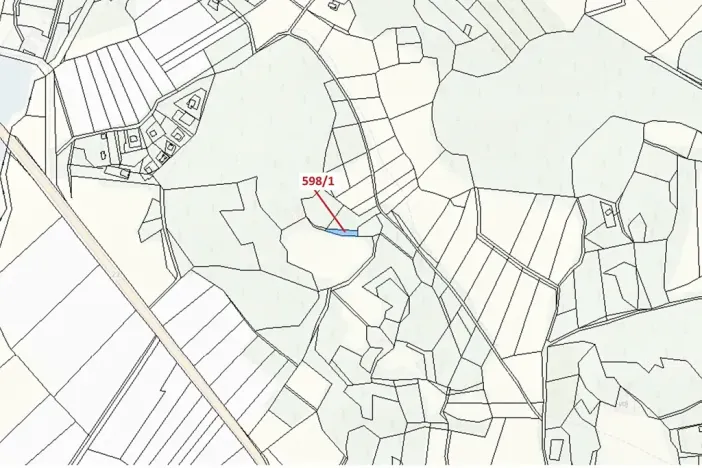 Dražba louky, Zavlekov, 272 m2