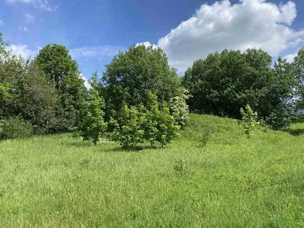 Dražba pozemku, Slavonice, 1831 m2