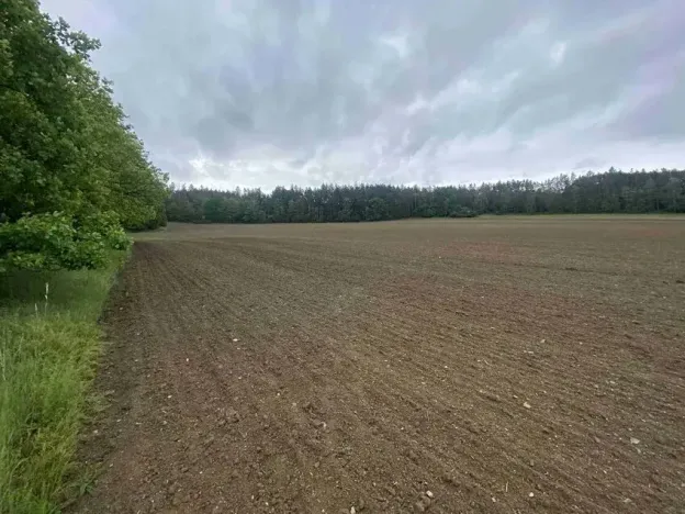 Dražba pole, Bojanovice, 22823 m2