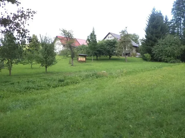 Dražba louky, Pěčín, 5224 m2